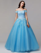 Vintage Dress Evening Floor Length Sleeveless Off Shoulder Lace Appliques
