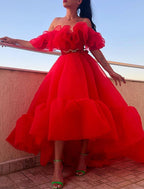 A-Line Evening Gown Celebrity Style Dress Wedding Prom Asymmetrical Sleeveless Off Shoulder Organza with Ruched